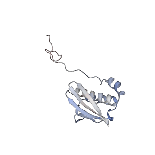 23669_7m4x_i_v1-3
A. baumannii Ribosome-Eravacycline complex: P-site tRNA 70S