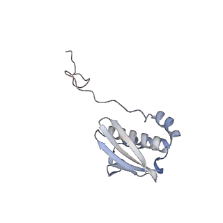 23669_7m4x_i_v1-4
A. baumannii Ribosome-Eravacycline complex: P-site tRNA 70S