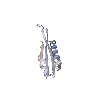 23669_7m4x_j_v1-3
A. baumannii Ribosome-Eravacycline complex: P-site tRNA 70S