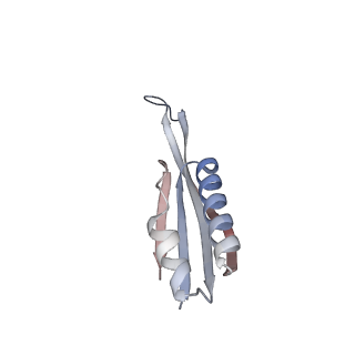 23669_7m4x_j_v1-4
A. baumannii Ribosome-Eravacycline complex: P-site tRNA 70S