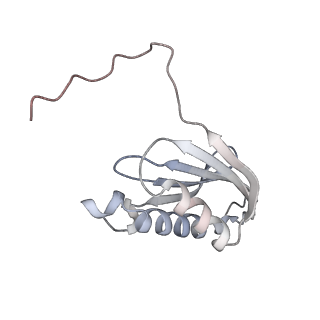 23669_7m4x_k_v1-3
A. baumannii Ribosome-Eravacycline complex: P-site tRNA 70S