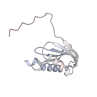 23669_7m4x_k_v1-4
A. baumannii Ribosome-Eravacycline complex: P-site tRNA 70S