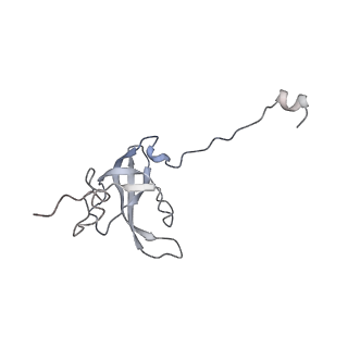 23669_7m4x_l_v1-3
A. baumannii Ribosome-Eravacycline complex: P-site tRNA 70S