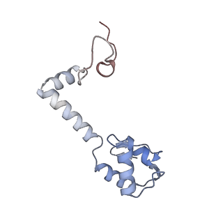 23669_7m4x_m_v1-3
A. baumannii Ribosome-Eravacycline complex: P-site tRNA 70S