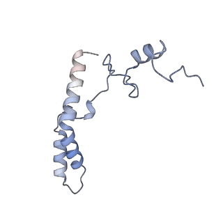 23669_7m4x_n_v1-4
A. baumannii Ribosome-Eravacycline complex: P-site tRNA 70S