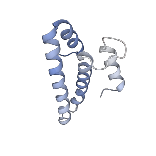 23669_7m4x_o_v1-3
A. baumannii Ribosome-Eravacycline complex: P-site tRNA 70S