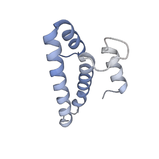 23669_7m4x_o_v1-4
A. baumannii Ribosome-Eravacycline complex: P-site tRNA 70S