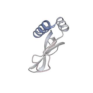 23669_7m4x_p_v1-3
A. baumannii Ribosome-Eravacycline complex: P-site tRNA 70S