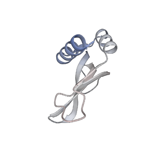 23669_7m4x_p_v1-4
A. baumannii Ribosome-Eravacycline complex: P-site tRNA 70S
