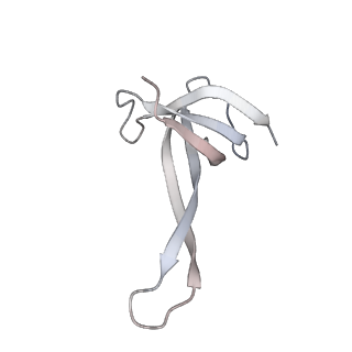 23669_7m4x_q_v1-3
A. baumannii Ribosome-Eravacycline complex: P-site tRNA 70S