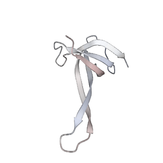 23669_7m4x_q_v1-4
A. baumannii Ribosome-Eravacycline complex: P-site tRNA 70S