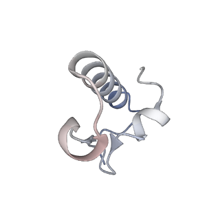 23669_7m4x_r_v1-3
A. baumannii Ribosome-Eravacycline complex: P-site tRNA 70S