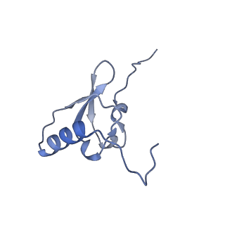 23669_7m4x_s_v1-3
A. baumannii Ribosome-Eravacycline complex: P-site tRNA 70S