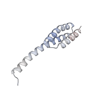 23669_7m4x_t_v1-3
A. baumannii Ribosome-Eravacycline complex: P-site tRNA 70S