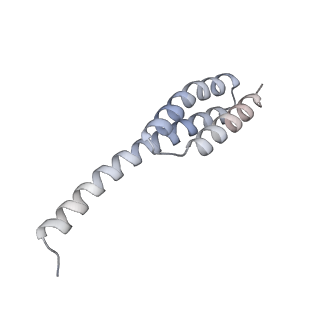 23669_7m4x_t_v1-4
A. baumannii Ribosome-Eravacycline complex: P-site tRNA 70S