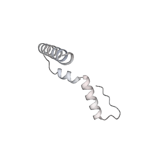 23669_7m4x_u_v1-3
A. baumannii Ribosome-Eravacycline complex: P-site tRNA 70S