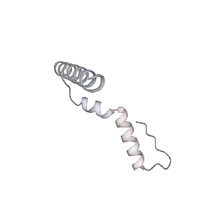 23669_7m4x_u_v1-4
A. baumannii Ribosome-Eravacycline complex: P-site tRNA 70S