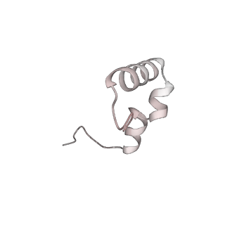 23670_7m4y_1_v1-3
A. baumannii Ribosome-Eravacycline complex: E-site tRNA 70S