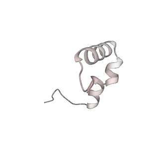 23670_7m4y_1_v1-4
A. baumannii Ribosome-Eravacycline complex: E-site tRNA 70S