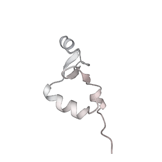 23670_7m4y_2_v1-3
A. baumannii Ribosome-Eravacycline complex: E-site tRNA 70S