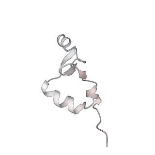 23670_7m4y_2_v1-4
A. baumannii Ribosome-Eravacycline complex: E-site tRNA 70S