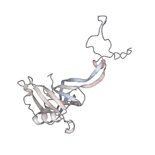 23670_7m4y_D_v1-3
A. baumannii Ribosome-Eravacycline complex: E-site tRNA 70S