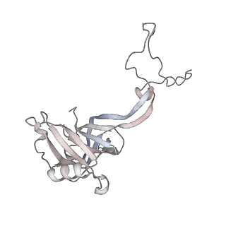 23670_7m4y_D_v1-4
A. baumannii Ribosome-Eravacycline complex: E-site tRNA 70S