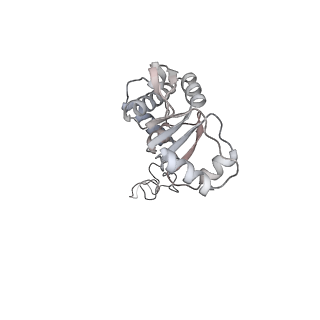 23670_7m4y_E_v1-4
A. baumannii Ribosome-Eravacycline complex: E-site tRNA 70S