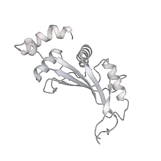 23670_7m4y_F_v1-3
A. baumannii Ribosome-Eravacycline complex: E-site tRNA 70S