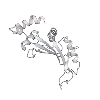 23670_7m4y_F_v1-4
A. baumannii Ribosome-Eravacycline complex: E-site tRNA 70S