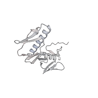 23670_7m4y_G_v1-3
A. baumannii Ribosome-Eravacycline complex: E-site tRNA 70S
