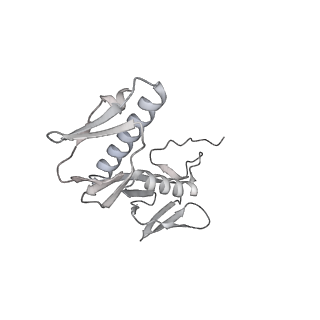 23670_7m4y_G_v1-4
A. baumannii Ribosome-Eravacycline complex: E-site tRNA 70S