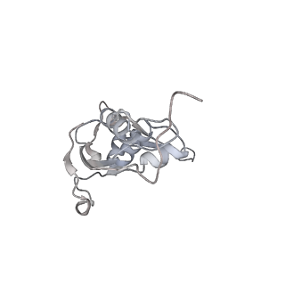 23670_7m4y_I_v1-3
A. baumannii Ribosome-Eravacycline complex: E-site tRNA 70S