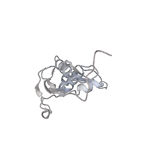 23670_7m4y_I_v1-4
A. baumannii Ribosome-Eravacycline complex: E-site tRNA 70S