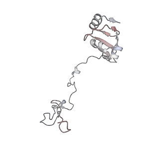 23670_7m4y_K_v1-4
A. baumannii Ribosome-Eravacycline complex: E-site tRNA 70S