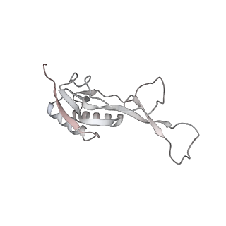 23670_7m4y_L_v1-3
A. baumannii Ribosome-Eravacycline complex: E-site tRNA 70S
