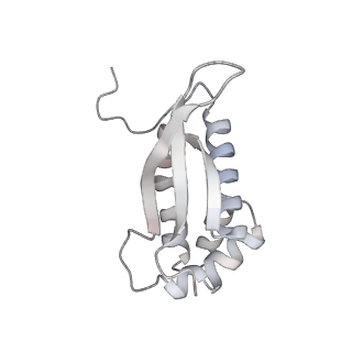 23670_7m4y_M_v1-3
A. baumannii Ribosome-Eravacycline complex: E-site tRNA 70S