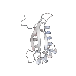 23670_7m4y_M_v1-4
A. baumannii Ribosome-Eravacycline complex: E-site tRNA 70S