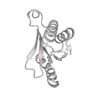 23670_7m4y_N_v1-3
A. baumannii Ribosome-Eravacycline complex: E-site tRNA 70S