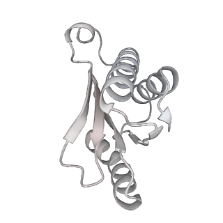 23670_7m4y_N_v1-4
A. baumannii Ribosome-Eravacycline complex: E-site tRNA 70S