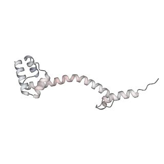23670_7m4y_P_v1-3
A. baumannii Ribosome-Eravacycline complex: E-site tRNA 70S