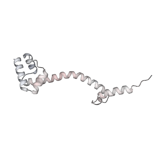 23670_7m4y_P_v1-4
A. baumannii Ribosome-Eravacycline complex: E-site tRNA 70S