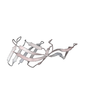 23670_7m4y_Q_v1-3
A. baumannii Ribosome-Eravacycline complex: E-site tRNA 70S