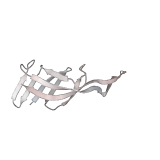 23670_7m4y_Q_v1-4
A. baumannii Ribosome-Eravacycline complex: E-site tRNA 70S