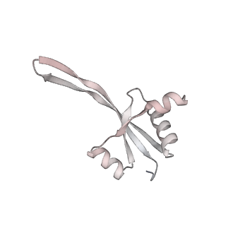 23670_7m4y_S_v1-3
A. baumannii Ribosome-Eravacycline complex: E-site tRNA 70S