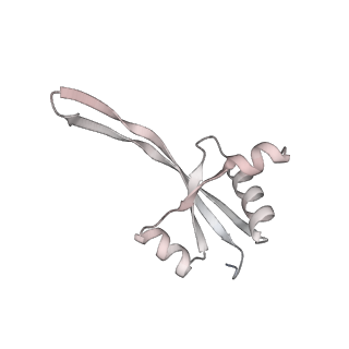 23670_7m4y_S_v1-4
A. baumannii Ribosome-Eravacycline complex: E-site tRNA 70S