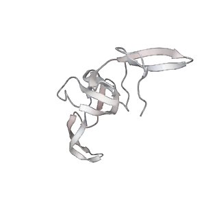 23670_7m4y_T_v1-3
A. baumannii Ribosome-Eravacycline complex: E-site tRNA 70S
