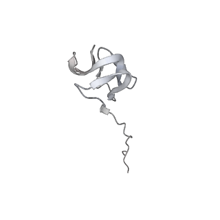 23670_7m4y_V_v1-3
A. baumannii Ribosome-Eravacycline complex: E-site tRNA 70S