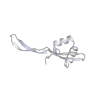 23670_7m4y_W_v1-3
A. baumannii Ribosome-Eravacycline complex: E-site tRNA 70S