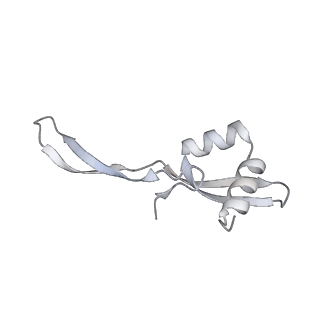 23670_7m4y_W_v1-4
A. baumannii Ribosome-Eravacycline complex: E-site tRNA 70S